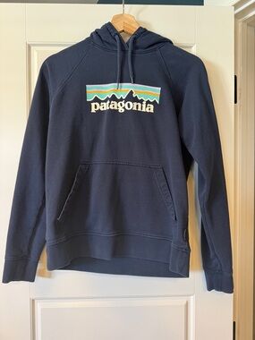 Patagonia Organic Cotton Navy Hoodie with Striped Mountain Logo